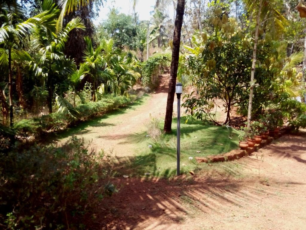 Ocean Green Kerala Kannur Exterior foto