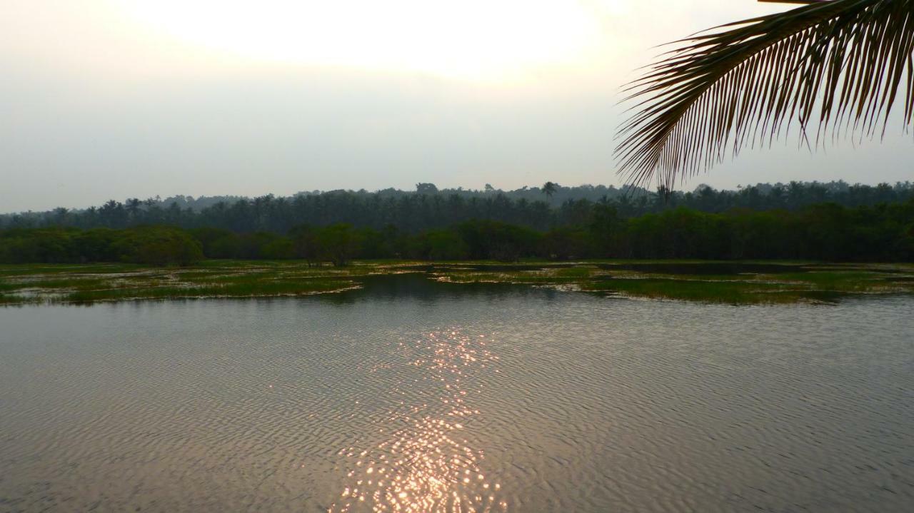 Ocean Green Kerala Kannur Exterior foto